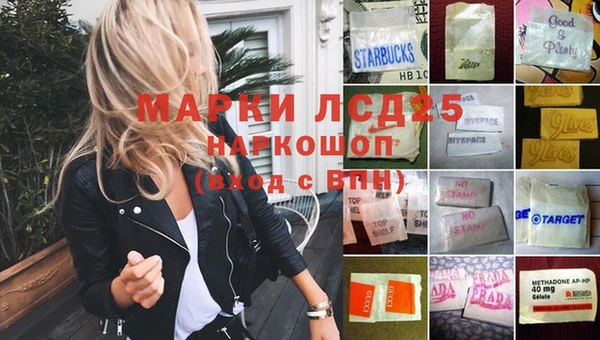 метадон Богданович