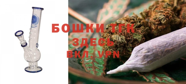 индика Богородск