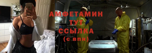 индика Богородск