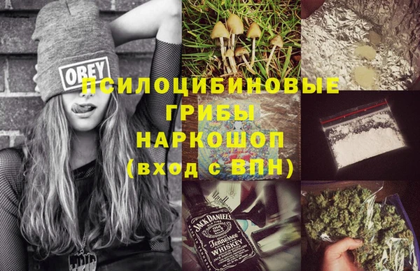 соль курить ск Бородино