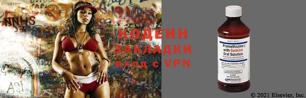 метадон Богданович