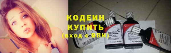 амф Россошь
