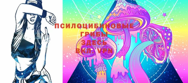 метадон Богданович