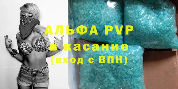 индика Богородск