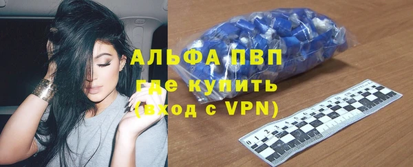 гашик Арсеньев