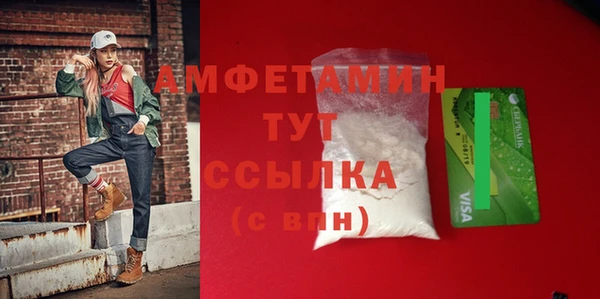 индика Богородск